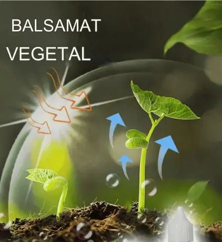 Solución líquida que activa plantas y flores