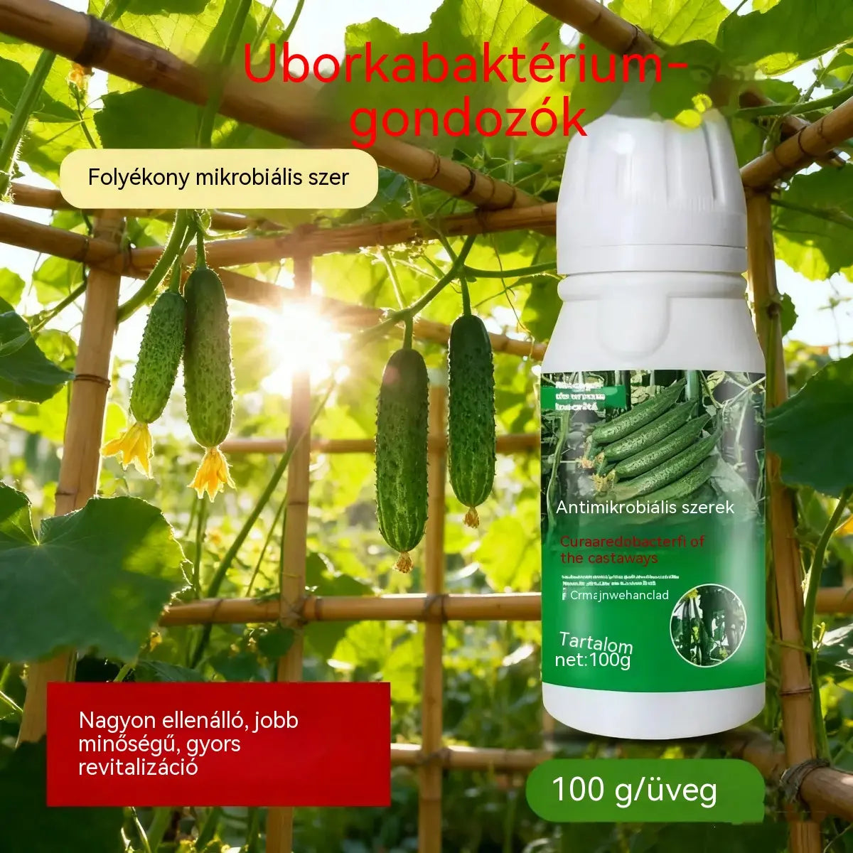🥒🥒【3 üveg】Szisztémás gombaölő szer uborkára - hatékonyan ellensúlyozza a bakteriális foltosodást, a sárgafoltosságot és a levélbetegségeket