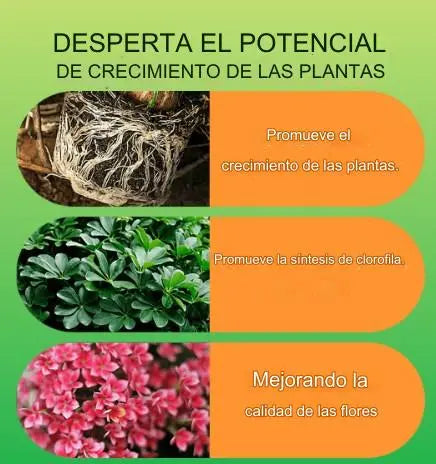 Solución líquida que activa plantas y flores