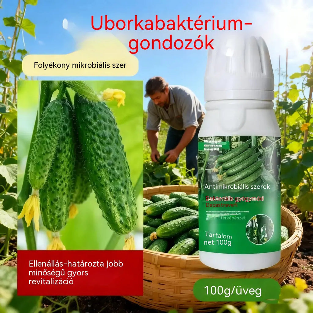 🥒🥒【3 üveg】Szisztémás gombaölő szer uborkára - hatékonyan ellensúlyozza a bakteriális foltosodást, a sárgafoltosságot és a levélbetegségeket