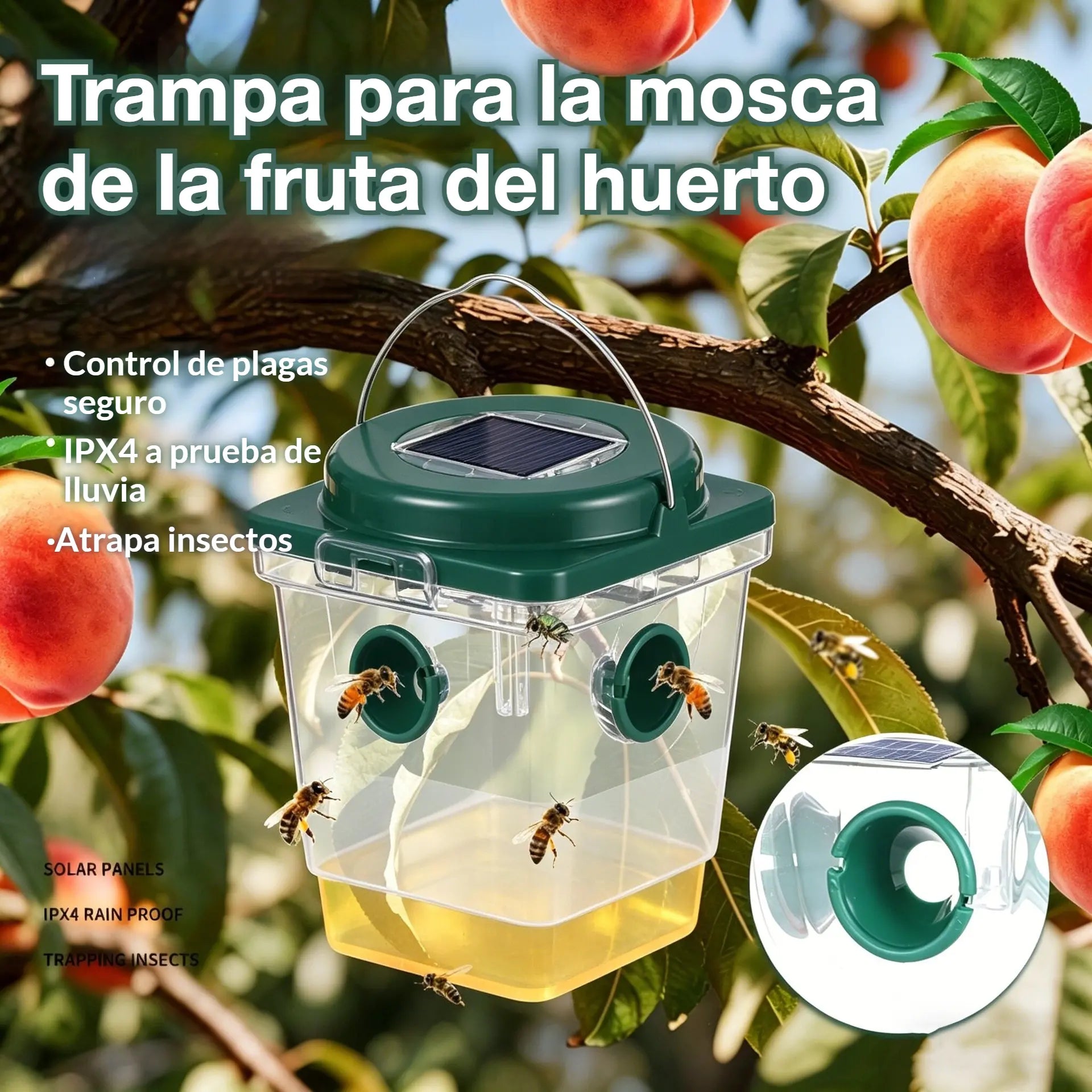🐝☀️ Trampa solar para avispas para la terraza y el jardín  - eficaz, recargable y resistente a la intemperie - sin productos químicos, hasta 500 m² - ¡ahorra ahora!