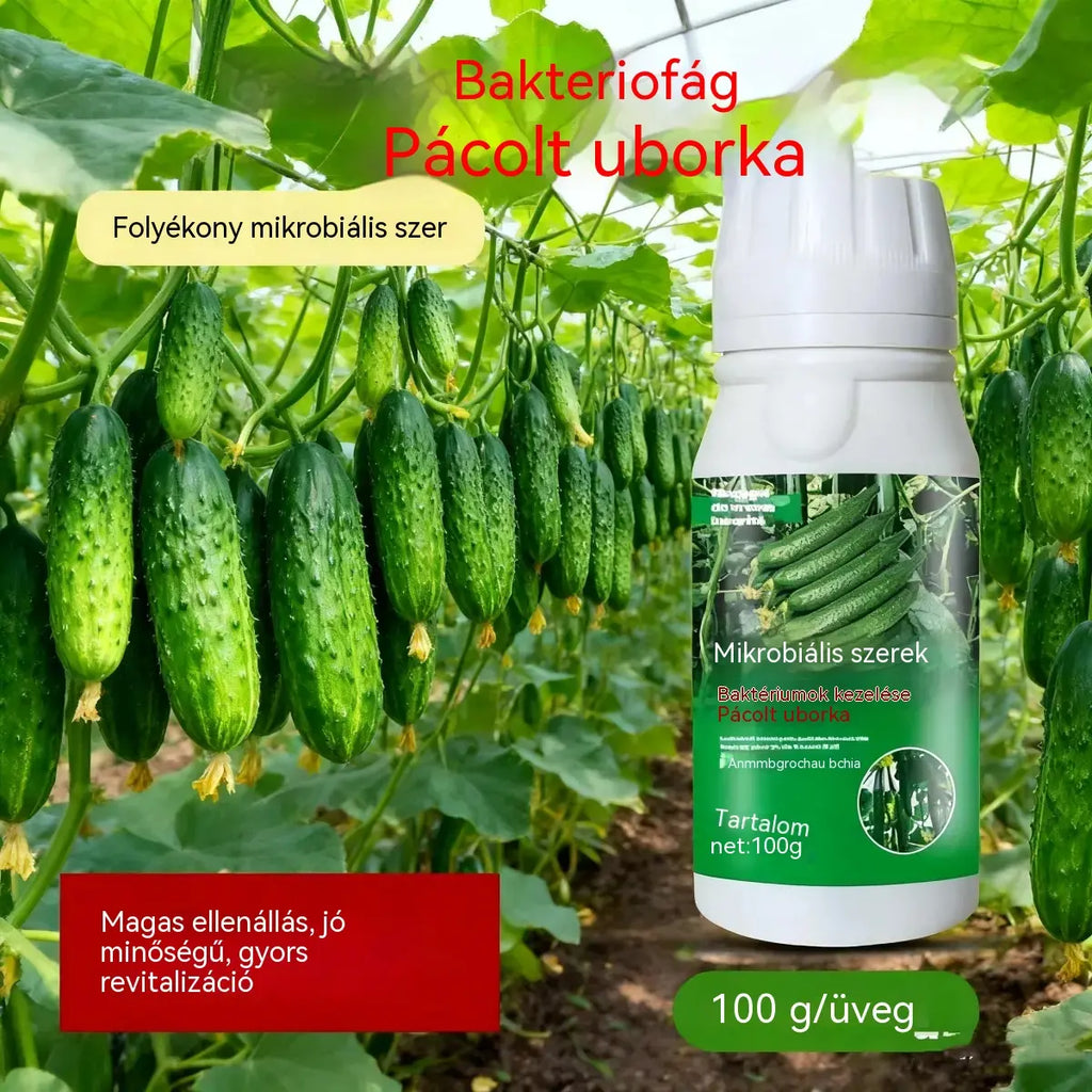 🥒🥒【3 üveg】Szisztémás gombaölő szer uborkára - hatékonyan ellensúlyozza a bakteriális foltosodást, a sárgafoltosságot és a levélbetegségeket