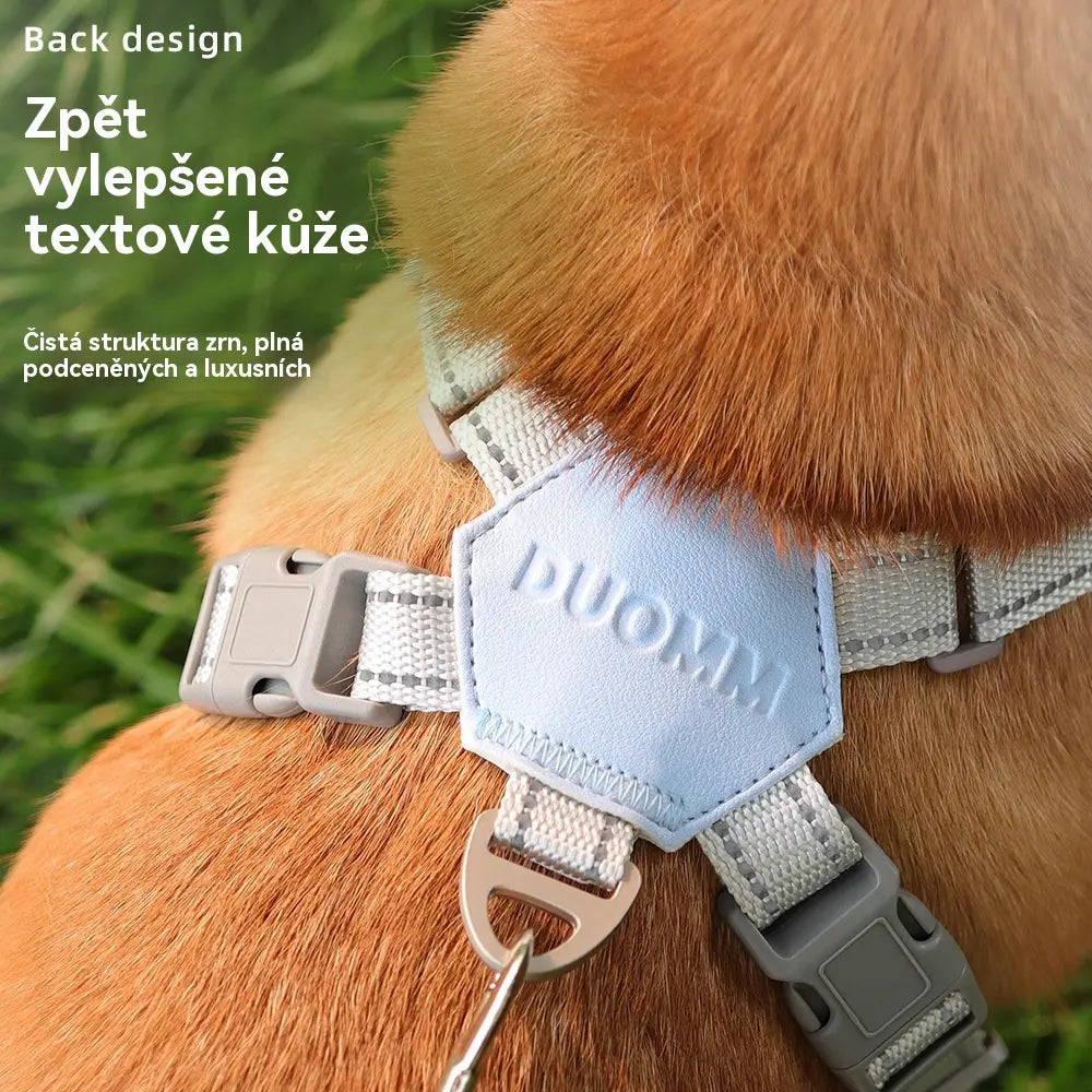 🥳X ALAKÚ HÚZÁSGÁTLÓ KUTYAHÁM PÓRÁVAL – TÖBB MINT 50 000 ELADOTT DARAB!💞