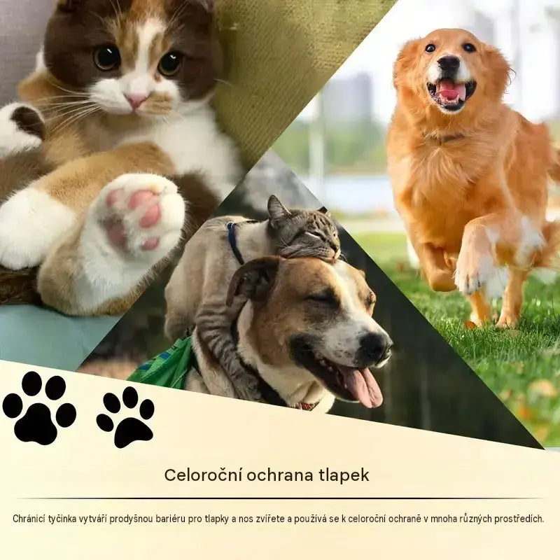 💧🐾 Hydratační balzám na tlapky – 🐶 Hýčkejte hebké a zdravé tlapky svého mazlíčka