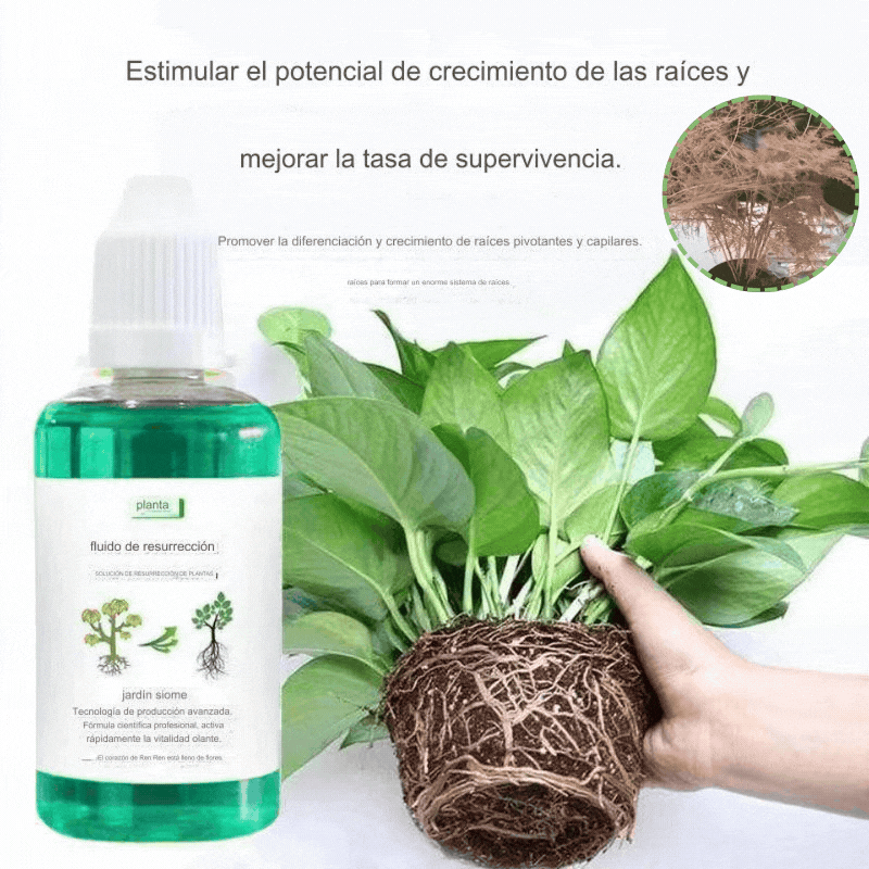 Solución líquida que activa plantas y flores