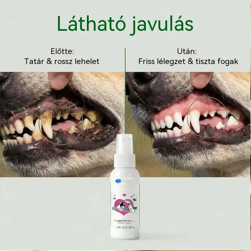 🐶🐱【Vásárolj egyet, kapsz egyet ingyen】Állatszőr- és fogtisztító spray
