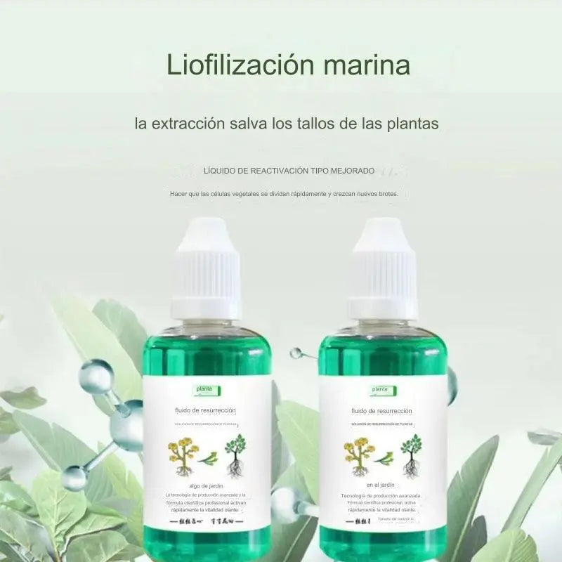 Solución líquida que activa plantas y flores