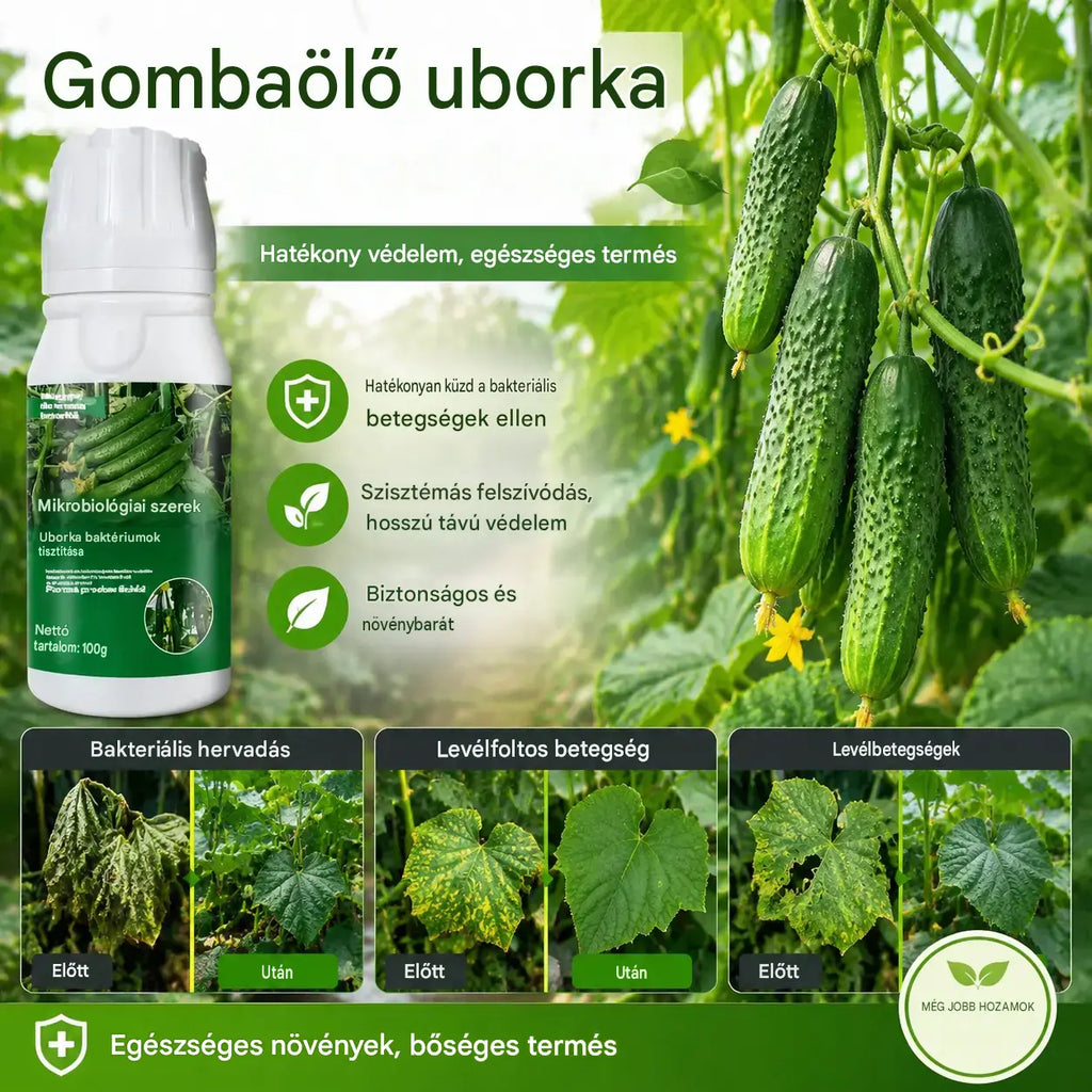 🥒🥒【3 üveg】Szisztémás gombaölő szer uborkára - hatékonyan ellensúlyozza a bakteriális foltosodást, a sárgafoltosságot és a levélbetegségeket