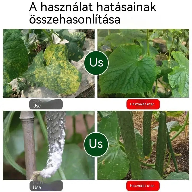 🥒🥒【3 üveg】Szisztémás gombaölő szer uborkára - hatékonyan ellensúlyozza a bakteriális foltosodást, a sárgafoltosságot és a levélbetegségeket